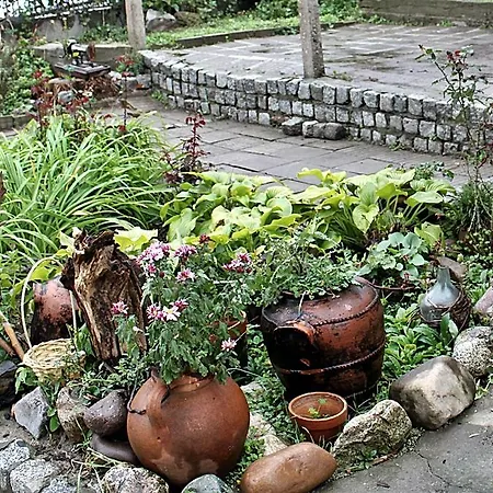 Penzion Guest House Lom